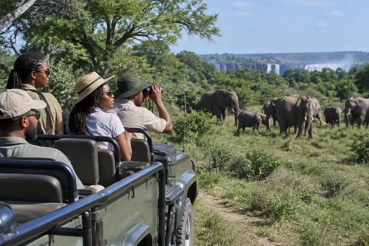 Friends watching elephants from an open safari vehicle